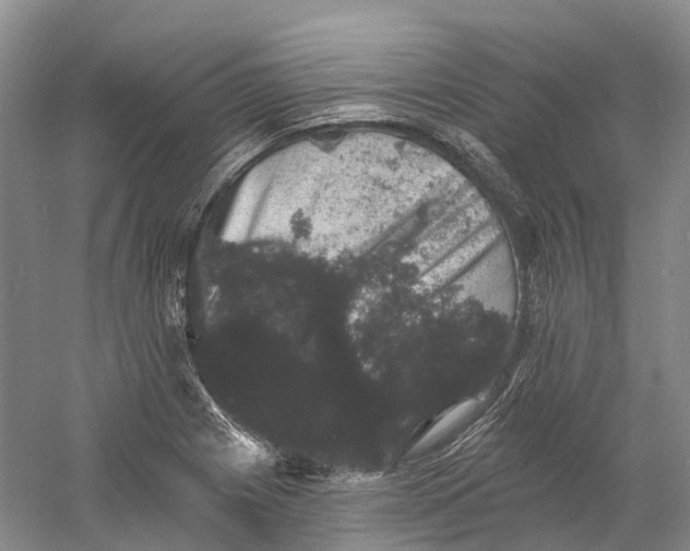 X0000060791225200512011657