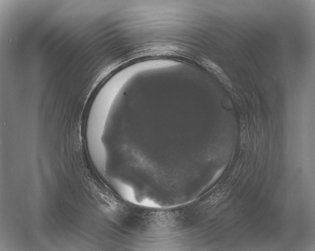 X0000060791226200512011657