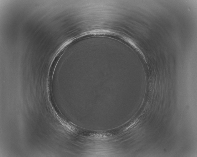 X0000060791229200512011657