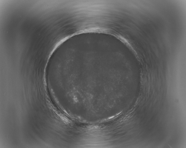 X0000060791230200512011657