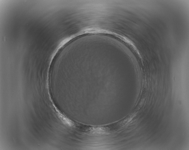 X0000060791231200512011657