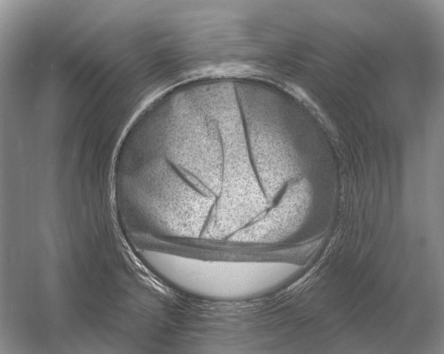 X0000060791232200512011657