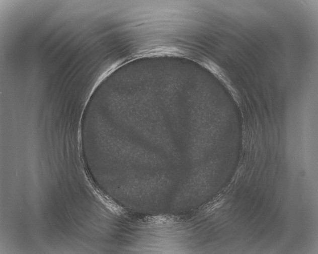 X0000060791234200512011657