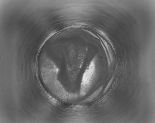 X0000060791235200512011657