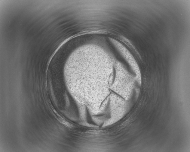 X0000060791236200512011657