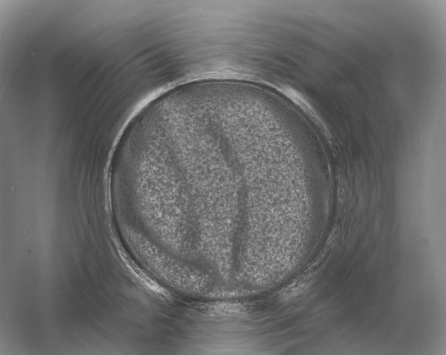 X0000060791238200512011657