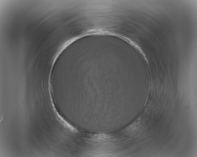 X0000060791239200512011657