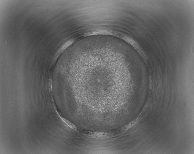 X0000060791241200512011657