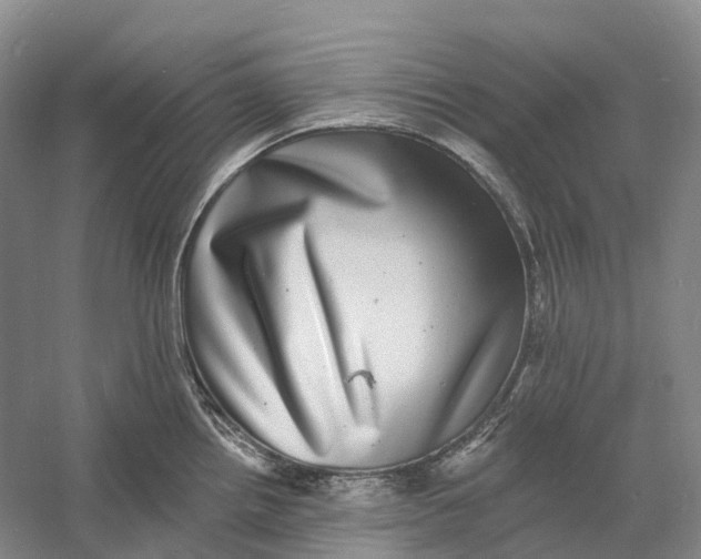 X0000060791242200512011657