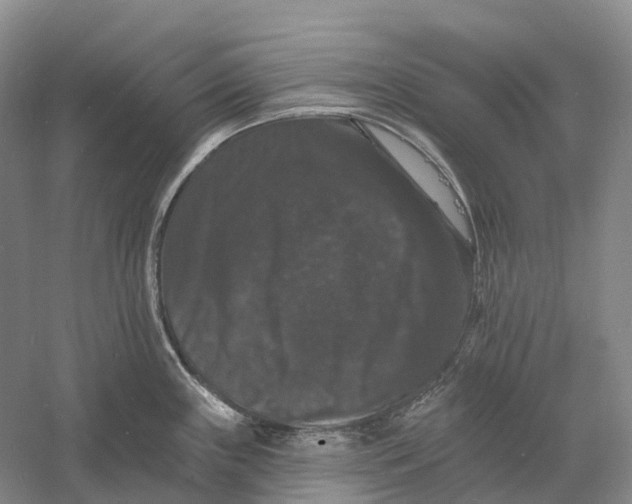 X0000060791243200512011657