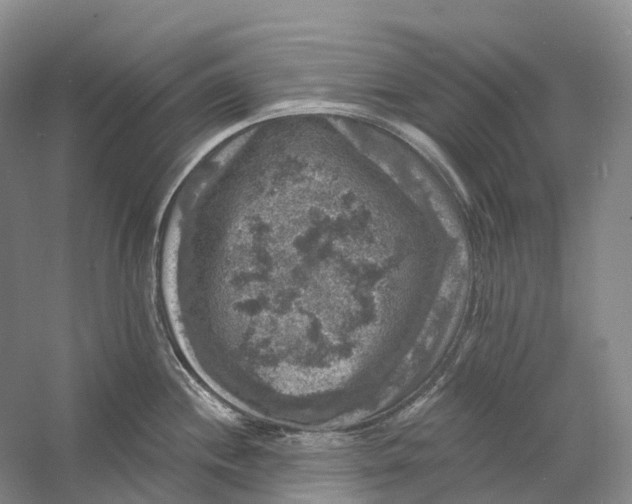 X0000060791244200512011657