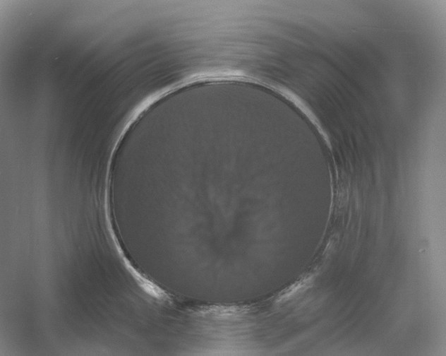 X0000060791245200512011657