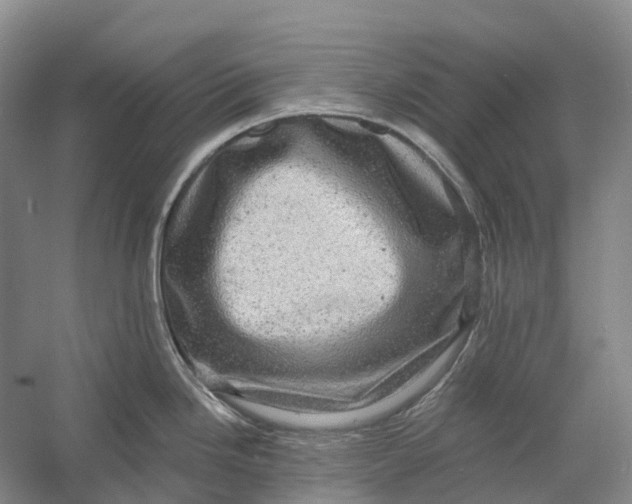 X0000060791246200512011657