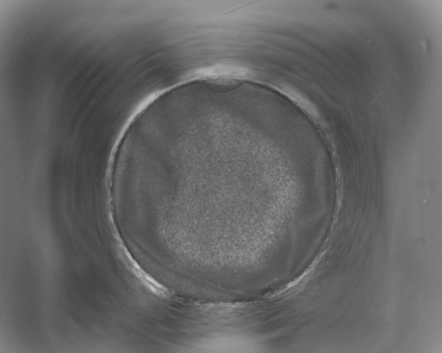 X0000060791248200512011657