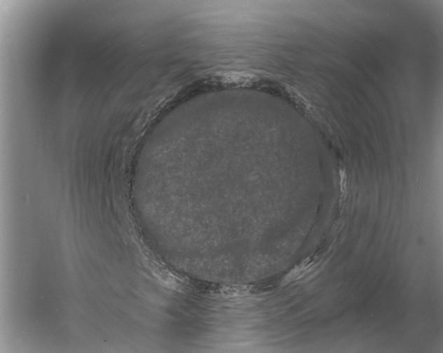 X0000060791249200512011656