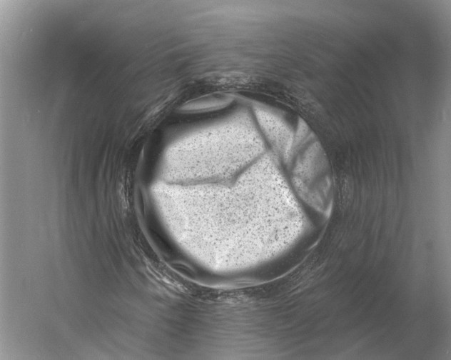 X0000060791250200512011656