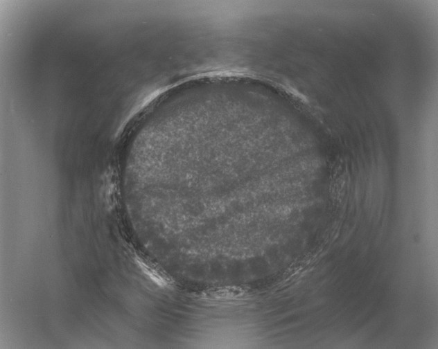 X0000060791255200512011656