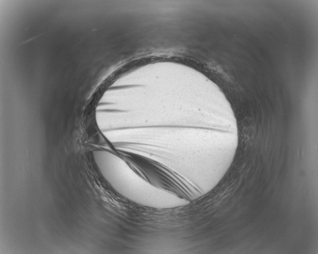 X0000060791256200512011656