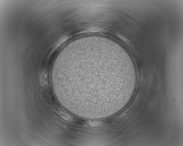 X0000060791258200512011656