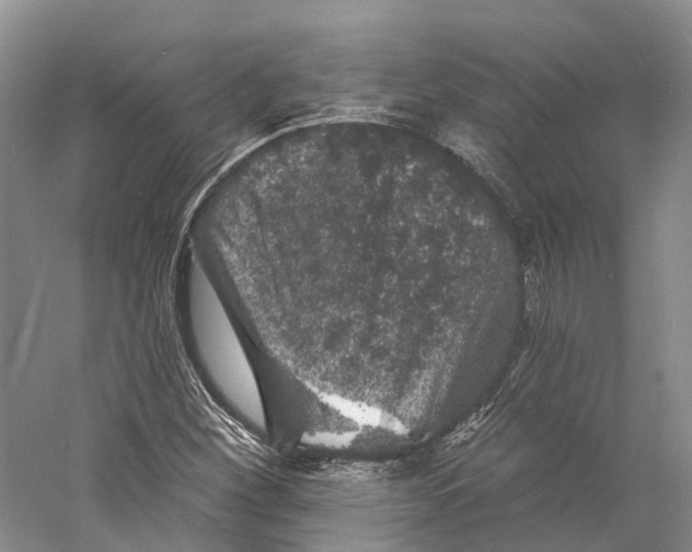 X0000060791260200512011656