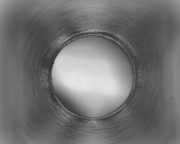 X0000060791265200512011656