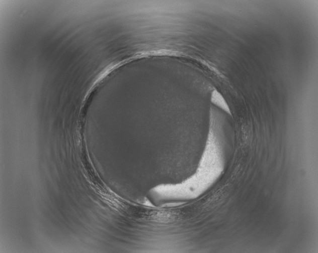 X0000060791266200512011656