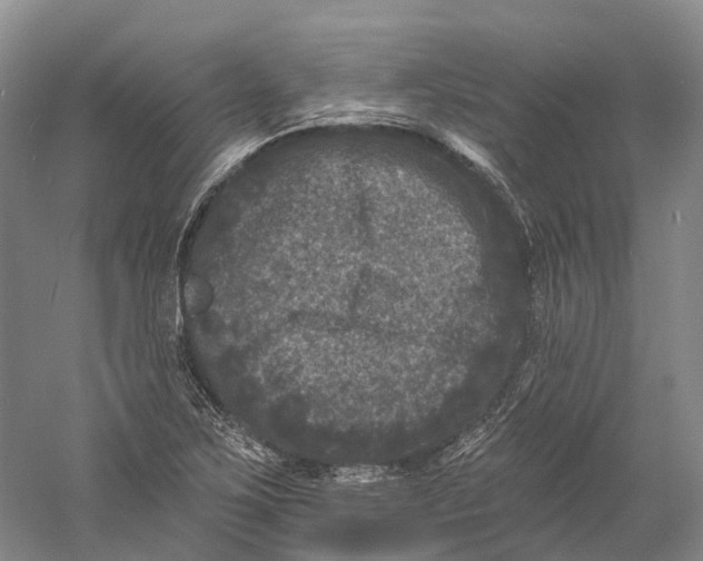 X0000060791267200512011656