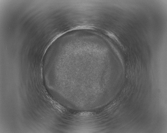 X0000060791268200512011656