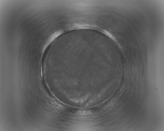 X0000060791269200512011656