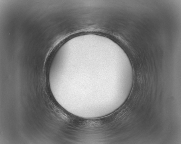 X0000060791270200512011656