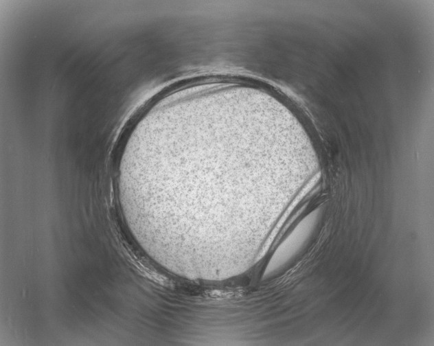 X0000060791271200512011656