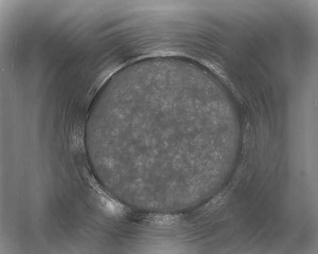 X0000060791273200512011656