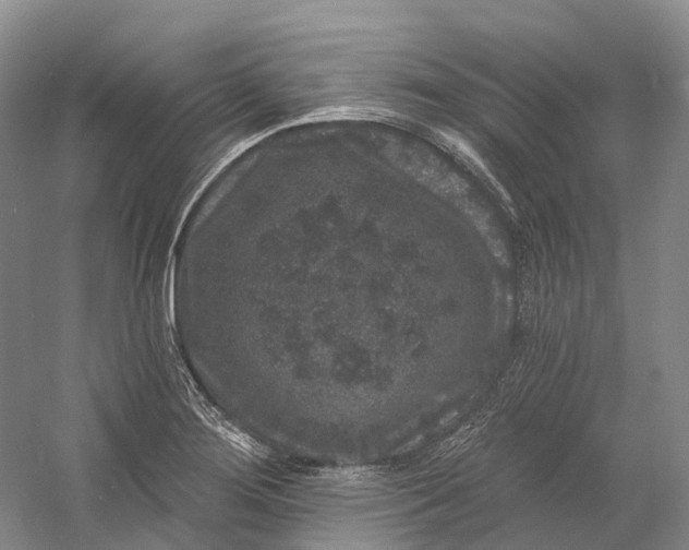 X0000060791276200512011656