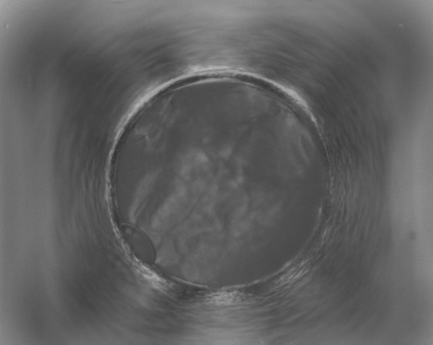 X0000060791279200512011656