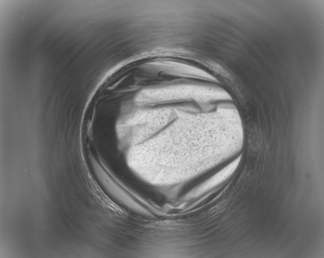 X0000060791280200512011656