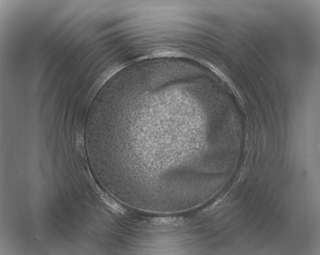 X0000060791281200512011656