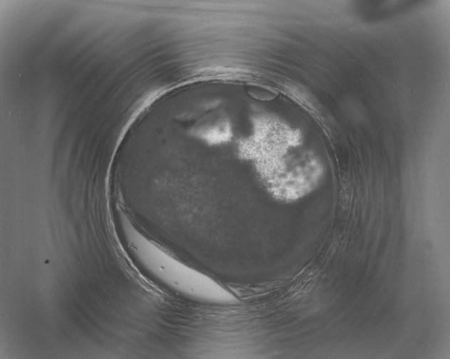 X0000060791283200512011656