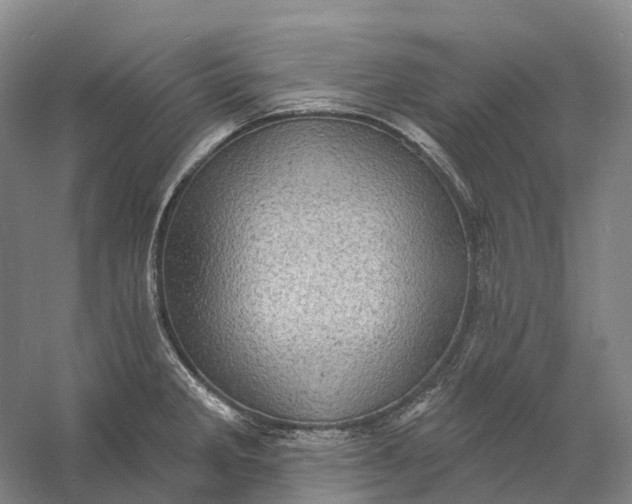 X0000060791285200512011656