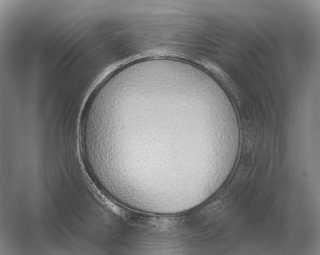 X0000060791286200512011656