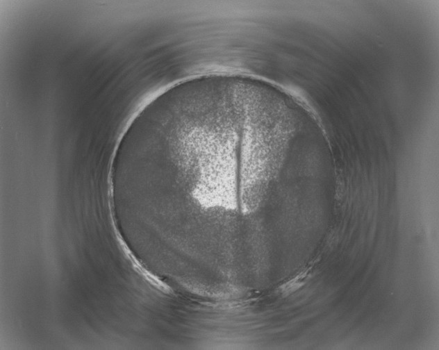 X0000060791287200512011656