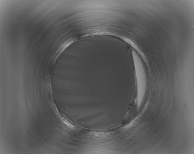 X0000060791289200512011656