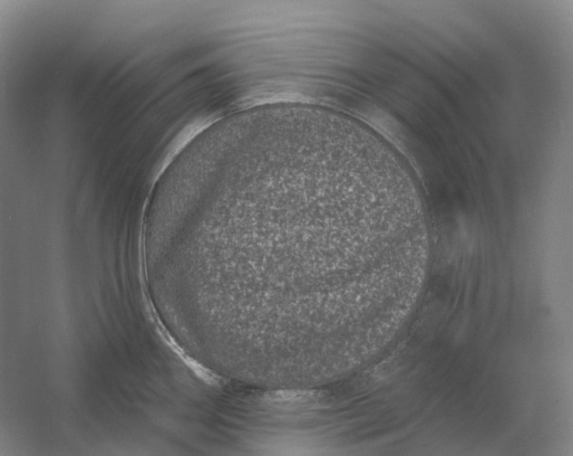 X0000060791290200512011656