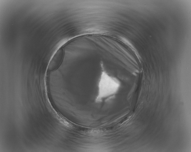 X0000060791291200512011656