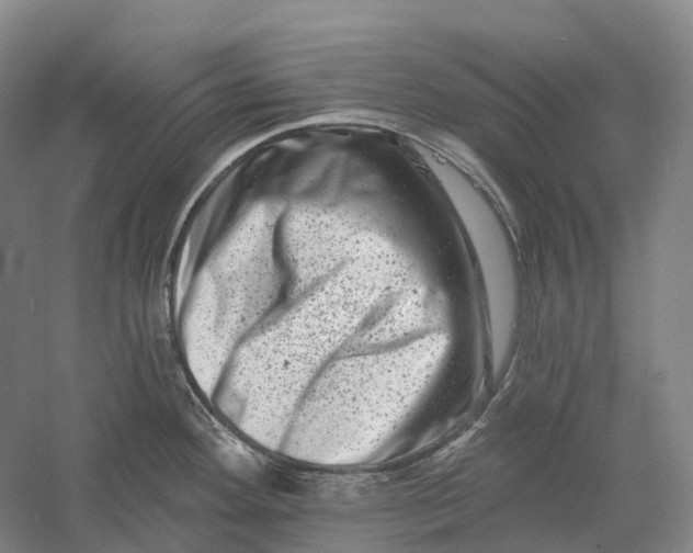 X0000060791292200512011656