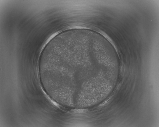 X0000060791293200512011656