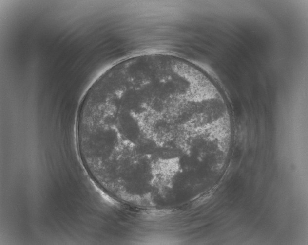 X0000060791294200512011656