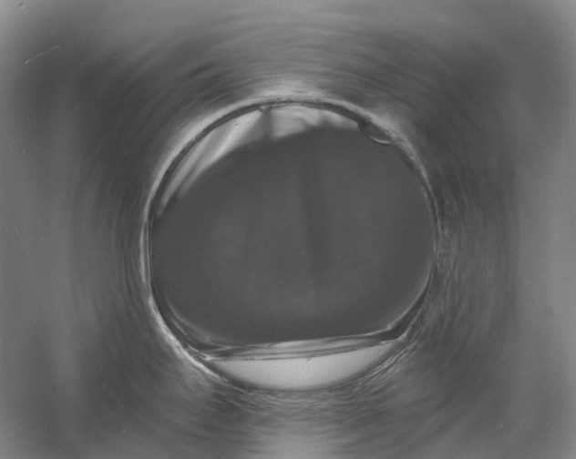 X0000060791295200512011656