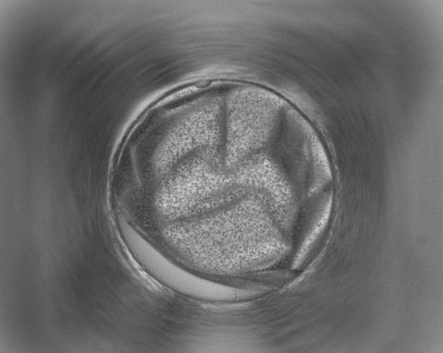 X0000060791296200512011656