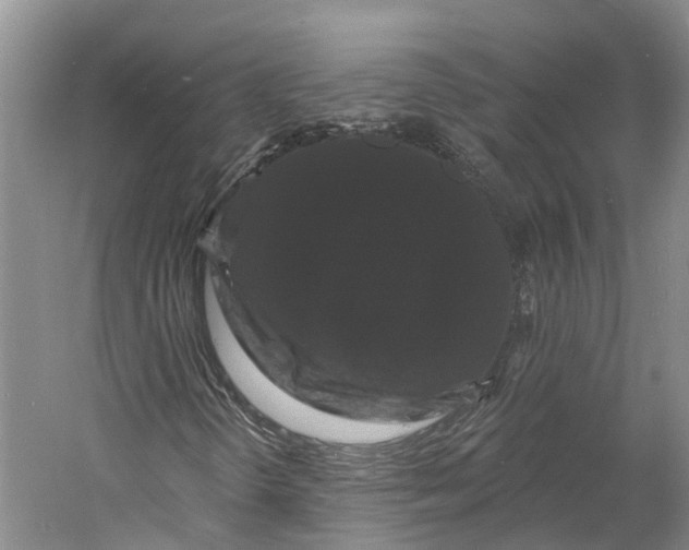 X0000060791298200512011655