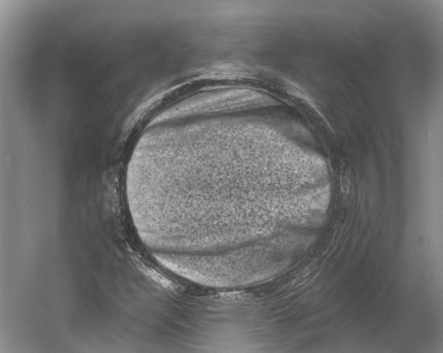 X0000060791304200512011655